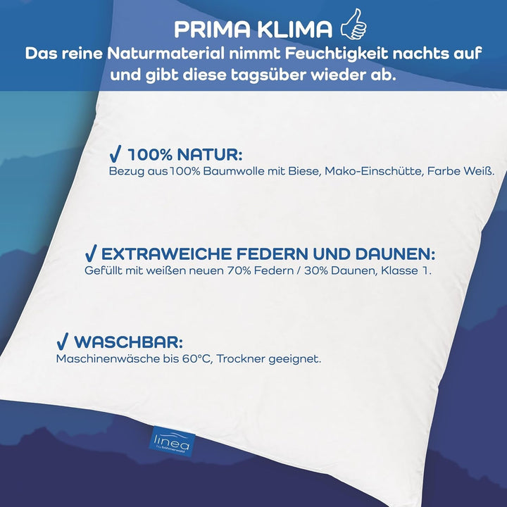LINEA by Böhmerwald - Cosy - Pernă de înaltă calitate Balance, 80X80, 70% pene clasa 1, 30% puf nou, potrivit pentru alergici, lavabil până la 60°C, produs în Germania