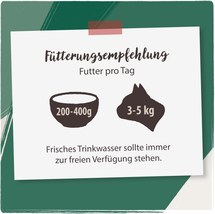 Venandi Animal - Hrană umedă premium pentru pisici, Tasting Pack II, cal, vițel, curcan, 12 X 125 G (pachet de 12), fără cereale și naturală