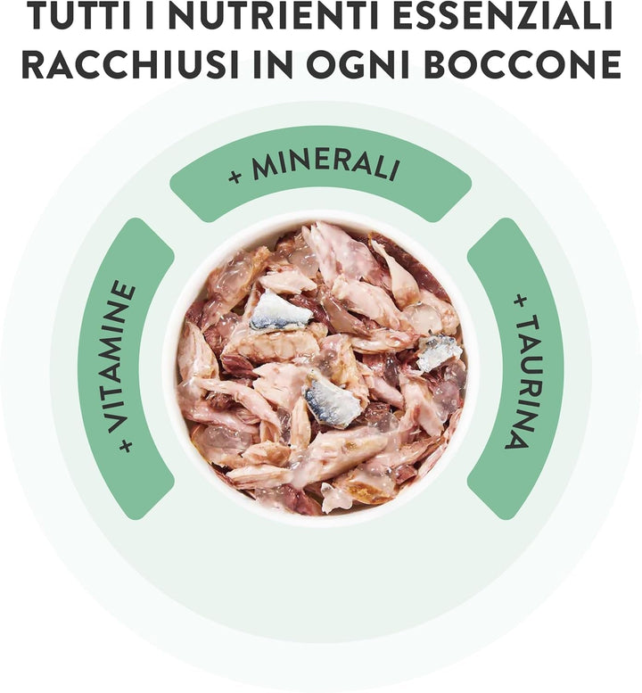 , Ton cu somon în jeleu, hrană umedă completă pentru pisici, la cutie, cu vitamine suplimentare, 100% naturală, 6 X 85 G