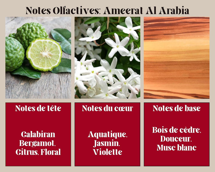 Ayat Perfumes – Apă de parfum pentru femei 100ml – Parfum oriental arab – Fabricat și conceput în Dubai, Emiratele Arabe Unite (Ameerat Al Arab)