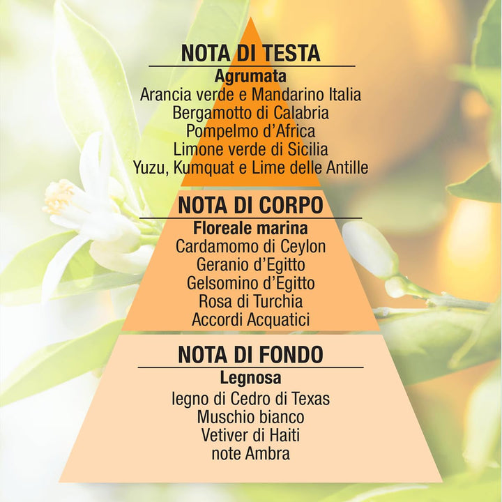 Agrumèe - Parfum Proaspăt, Citric pentru Femei, Parfum Floral pentru Femei cu Trandafir și Iasomie, Apă de Parfum Chihlimbar pentru Femei, Parfumuri Ușoare, Strălucitoare, Cadouri pentru Femei Fabricate în Italia, 50ml