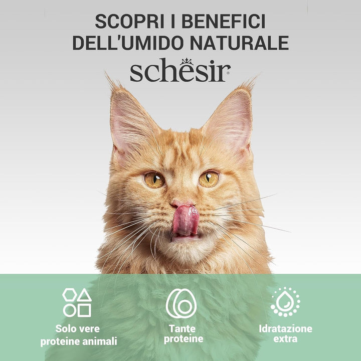 , File de ton în jeleu, Hrană umedă complementară pentru pisici, Rețetă originală, 100% naturală, 12 cutii a câte 70 g