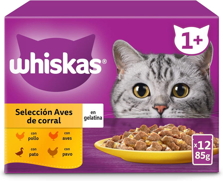 Whiskas Hrană umedă pentru pisici, adulți, Bird's Choice, Jelly, Multipack (4 X 12 pungi X 85 G)