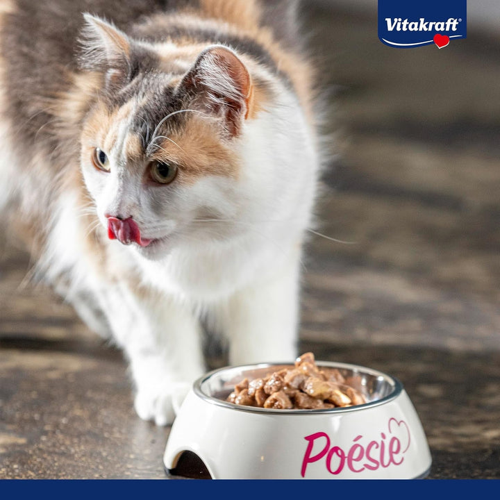 Vitakraft Poésie Délice, Meat and Fish Selection, hrană umedă pentru pisici, hrană umedă pentru pisici Jelly, cu piept de curcan, cu somon, fără zahăr și cereale adăugate (1 pachet cu 6X 85G)