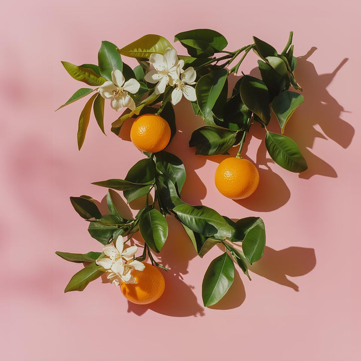 Elie Saab Le Parfum Essentiel 50 ml – Apă de parfum pentru femei – Parfum floral chypre – Note radiante de floare de portocal, iasomie, gardenie și paciuli – Sticlă transparentă din sticlă