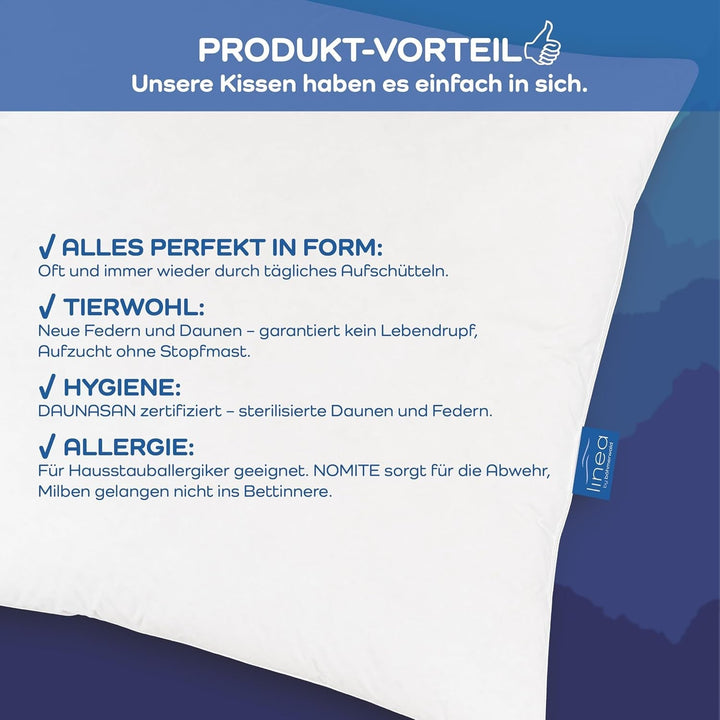 LINEA by Böhmerwald - Cosy - Pernă de înaltă calitate Balance, 80X80, 70% pene clasa 1, 30% puf nou, potrivit pentru alergici, lavabil până la 60°C, produs în Germania