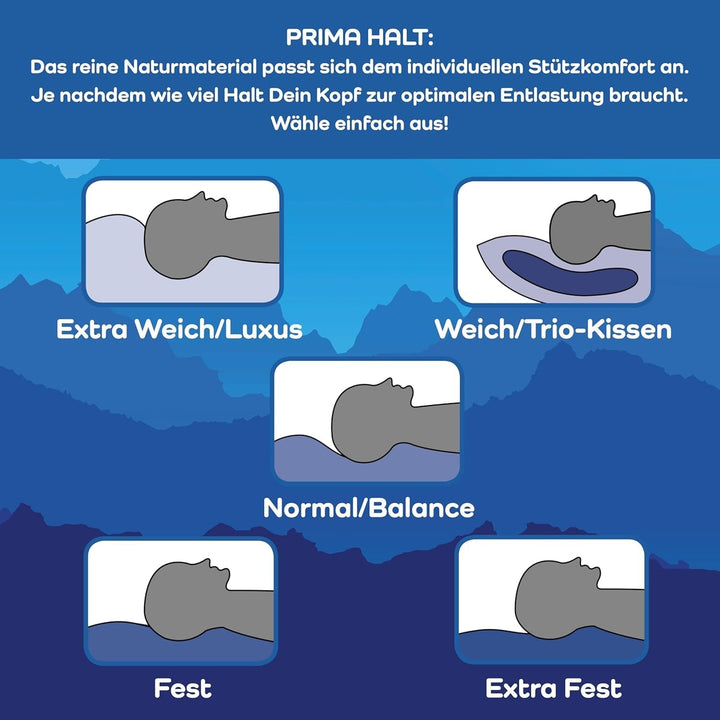 LINEA by Böhmerwald - Cosy - Pernă de înaltă calitate Balance, 80X80, 70% pene clasa 1, 30% puf nou, potrivit pentru alergici, lavabil până la 60°C, produs în Germania