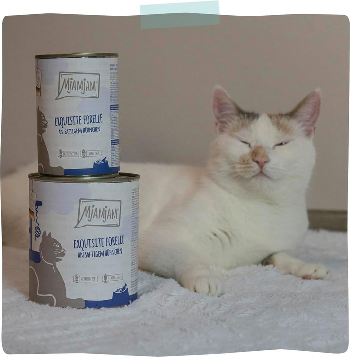 Mjamjam - Hrană umedă premium pentru pisici - Păstrăv rafinat cu pui suculent, pachet de 6 (6X200G), fără cereale