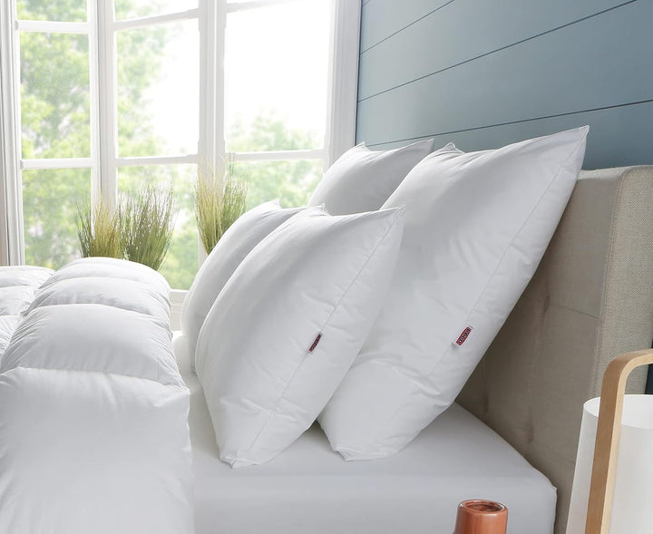 DODO Premium Pillow, 60 X 60 Cm, Medium Comfort, Perna Cloud De Douceur | Miteproof And Fluffy | Percale Cotton + Piping Lavabilă la mașină la 40 °C